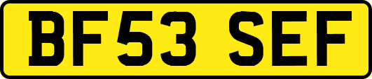 BF53SEF