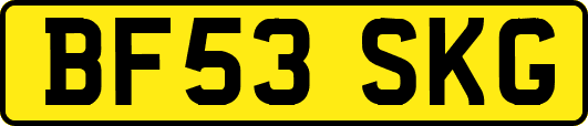 BF53SKG
