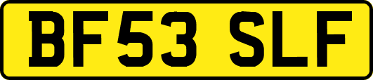 BF53SLF