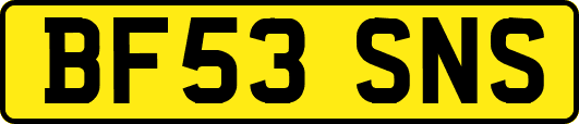 BF53SNS
