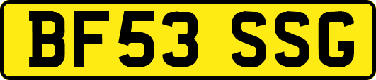 BF53SSG