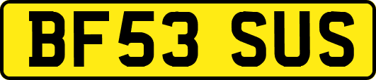 BF53SUS