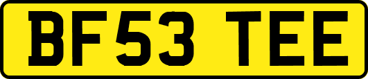 BF53TEE