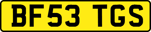 BF53TGS