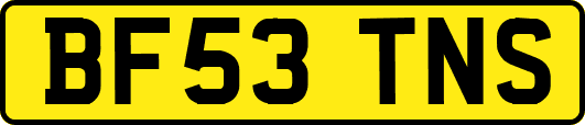 BF53TNS