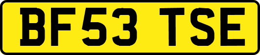 BF53TSE