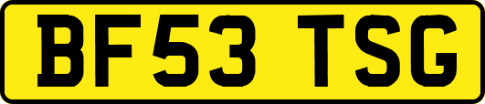 BF53TSG