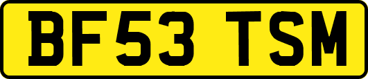 BF53TSM