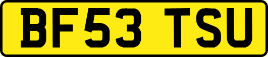 BF53TSU