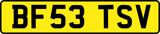 BF53TSV