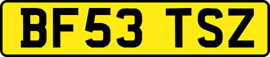 BF53TSZ