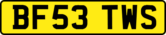 BF53TWS