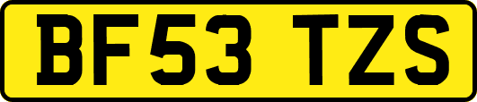 BF53TZS