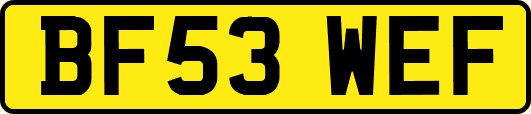 BF53WEF