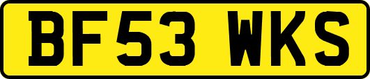 BF53WKS