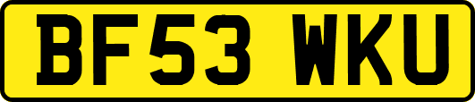 BF53WKU