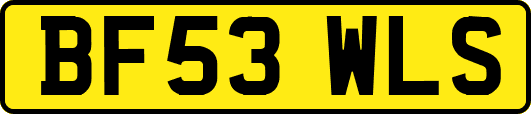 BF53WLS