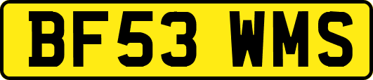 BF53WMS