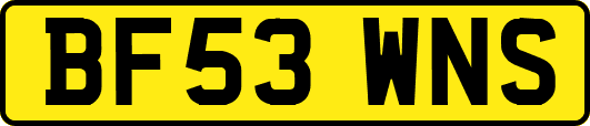 BF53WNS