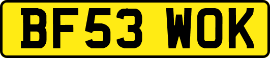 BF53WOK