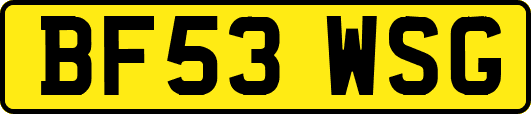 BF53WSG