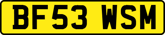 BF53WSM
