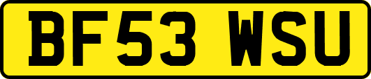 BF53WSU