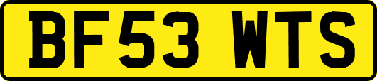 BF53WTS