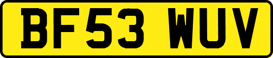 BF53WUV