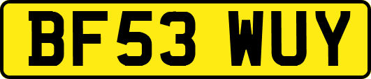 BF53WUY