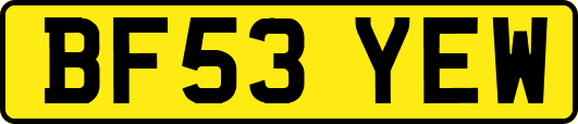 BF53YEW