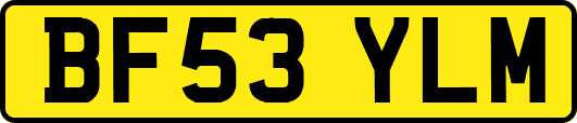 BF53YLM