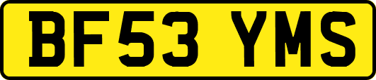 BF53YMS