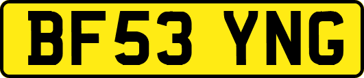 BF53YNG
