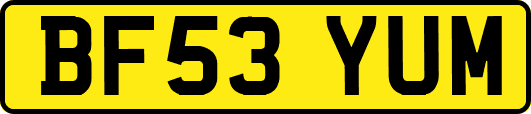 BF53YUM