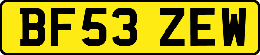 BF53ZEW
