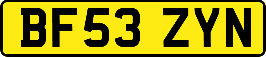 BF53ZYN