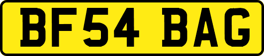 BF54BAG