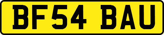 BF54BAU