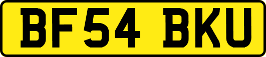 BF54BKU