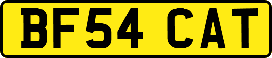 BF54CAT