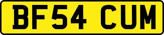 BF54CUM