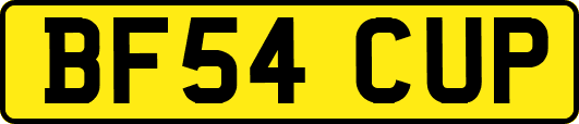 BF54CUP