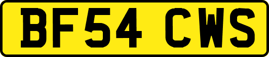 BF54CWS