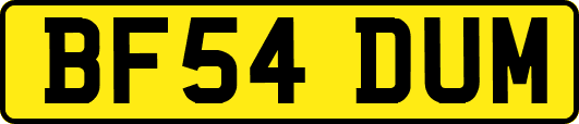 BF54DUM