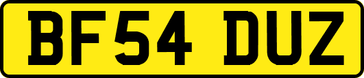 BF54DUZ