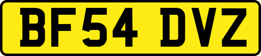 BF54DVZ