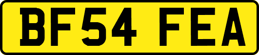 BF54FEA