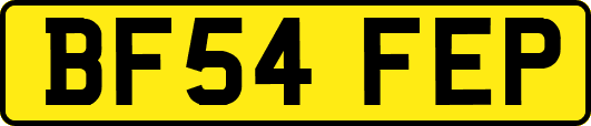 BF54FEP