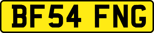 BF54FNG